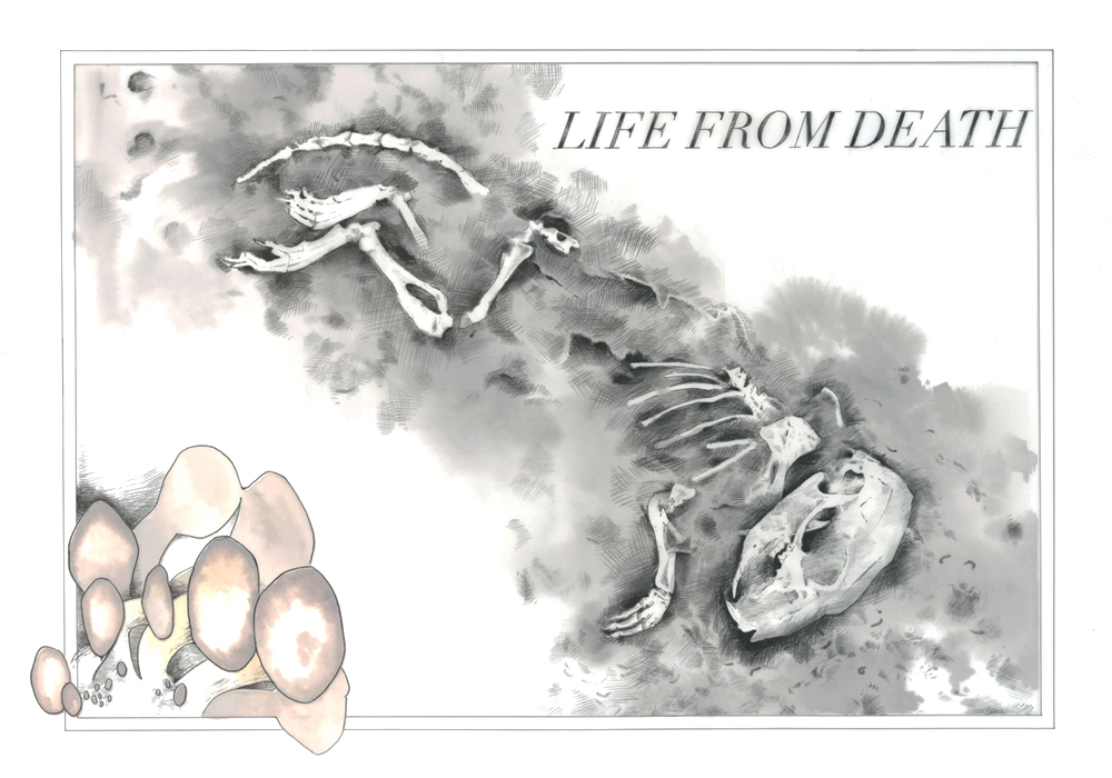 Interpreting the Lab - Image 6