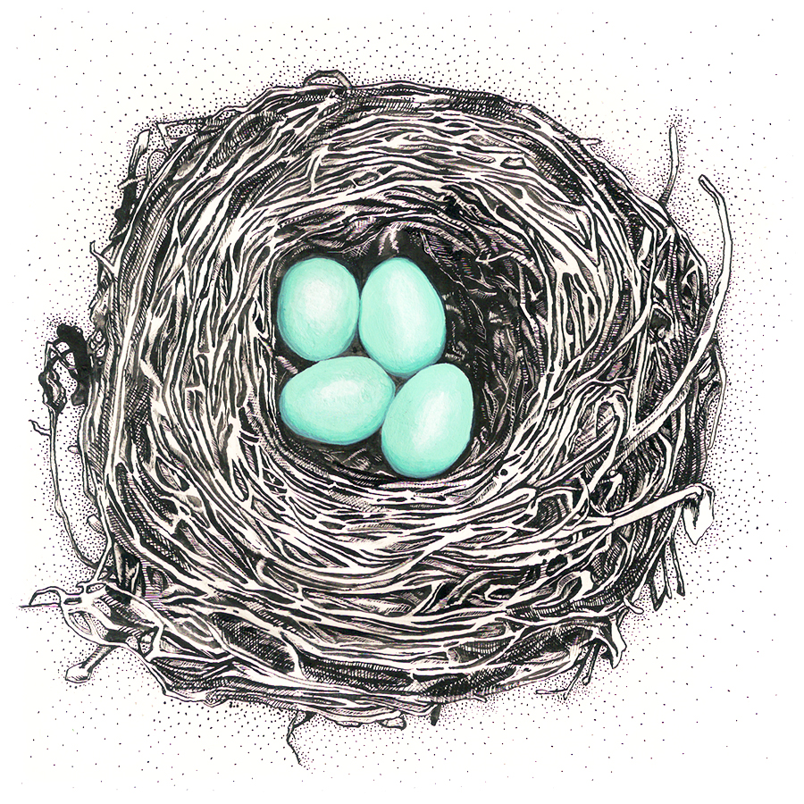 Nests - Image 2