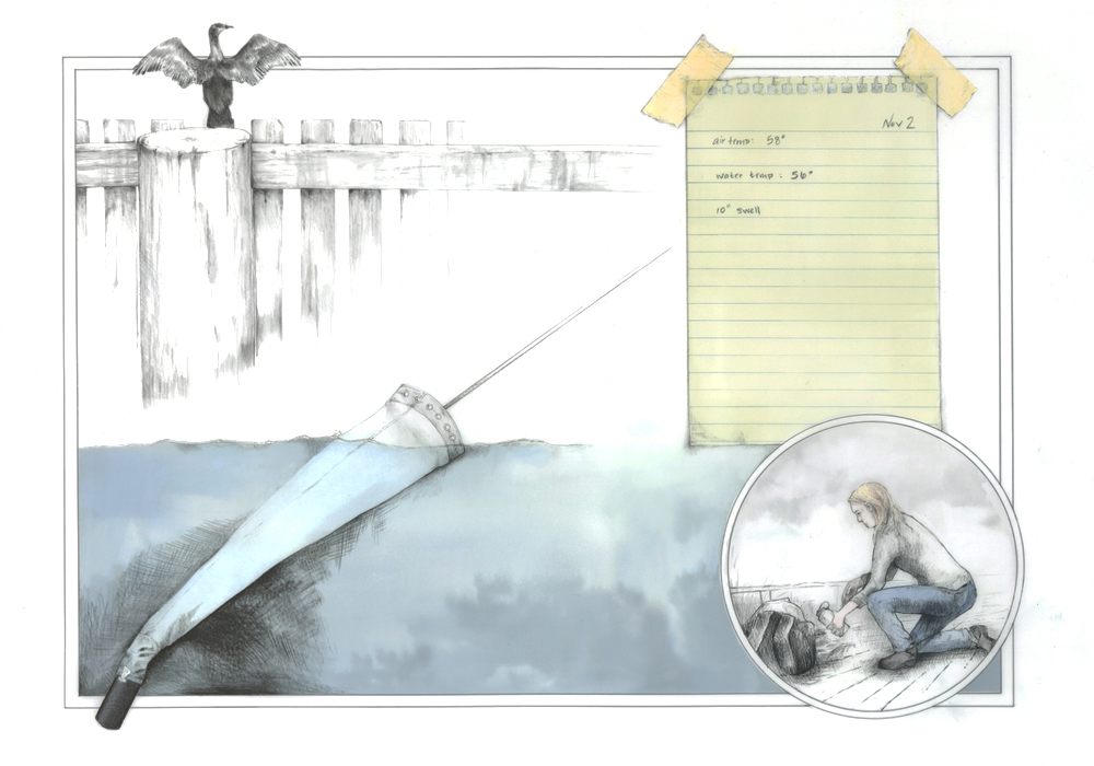 Interpreting the Lab - Image 7