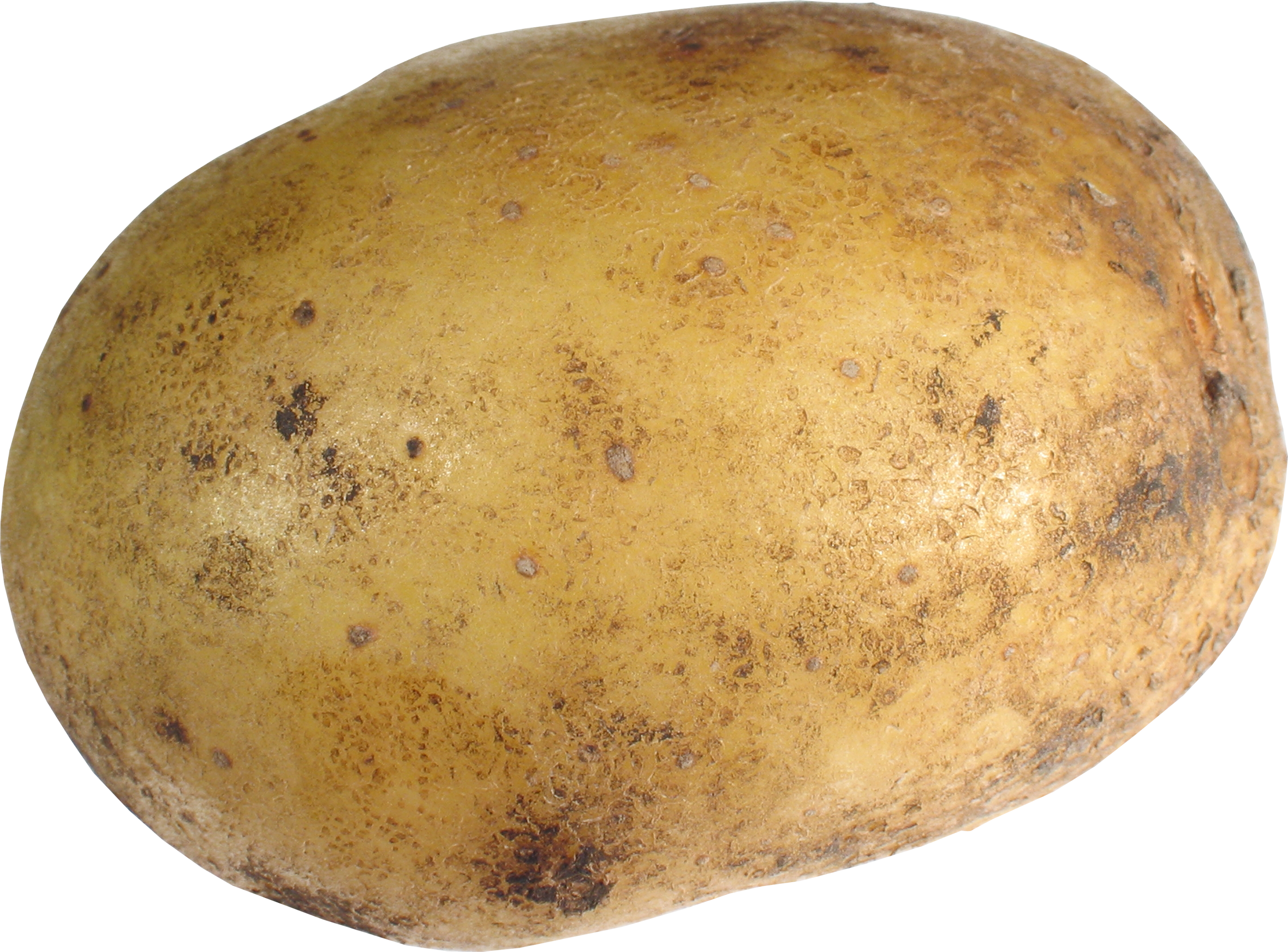 Potato asteroid