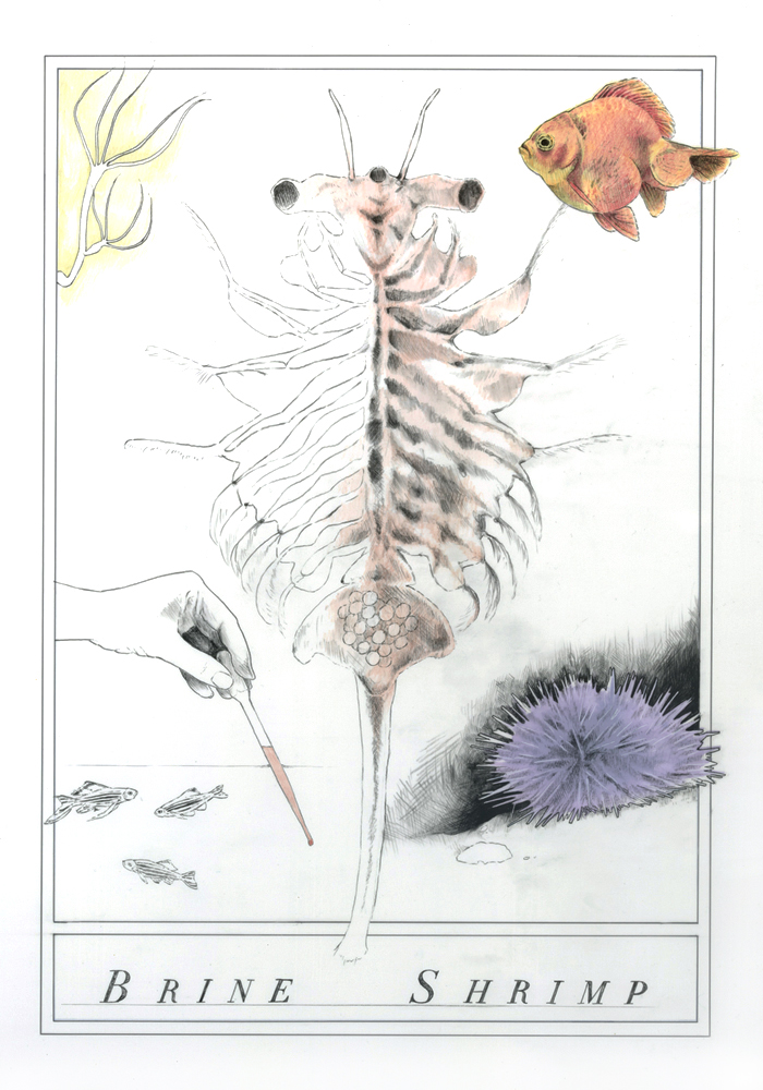 Interpreting the Lab - Image 4