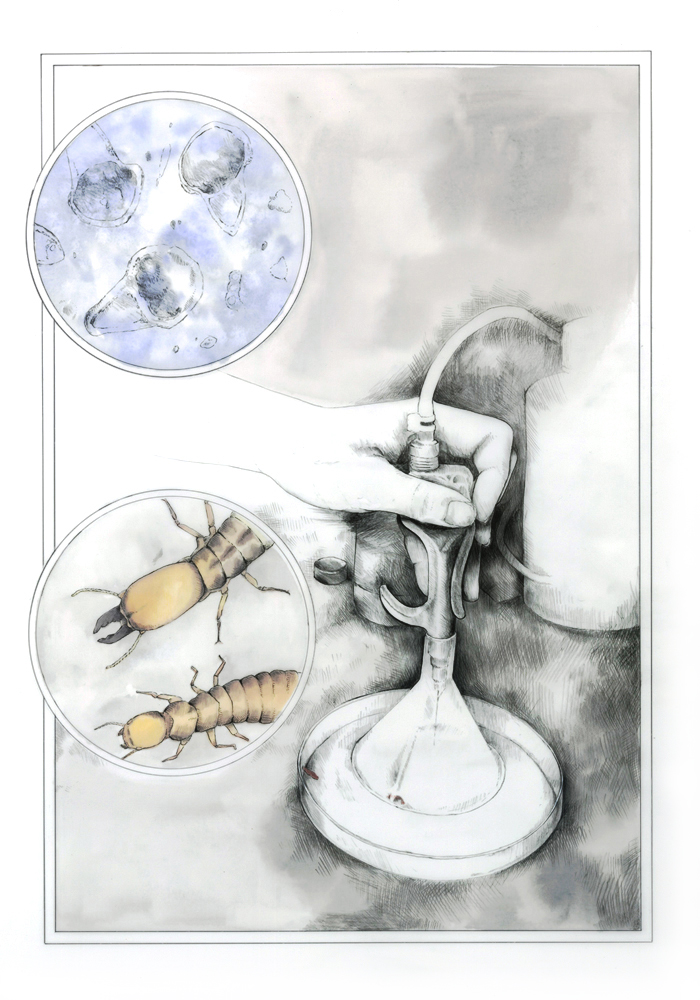 Interpreting the Lab - Image 8