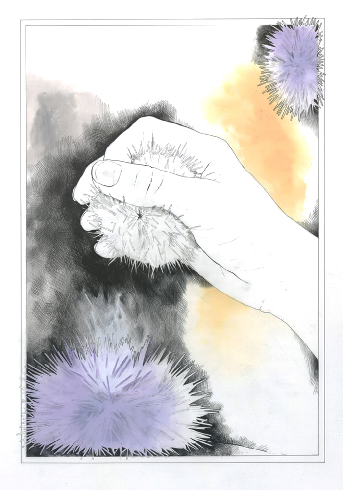 Interpreting the Lab - Image 9