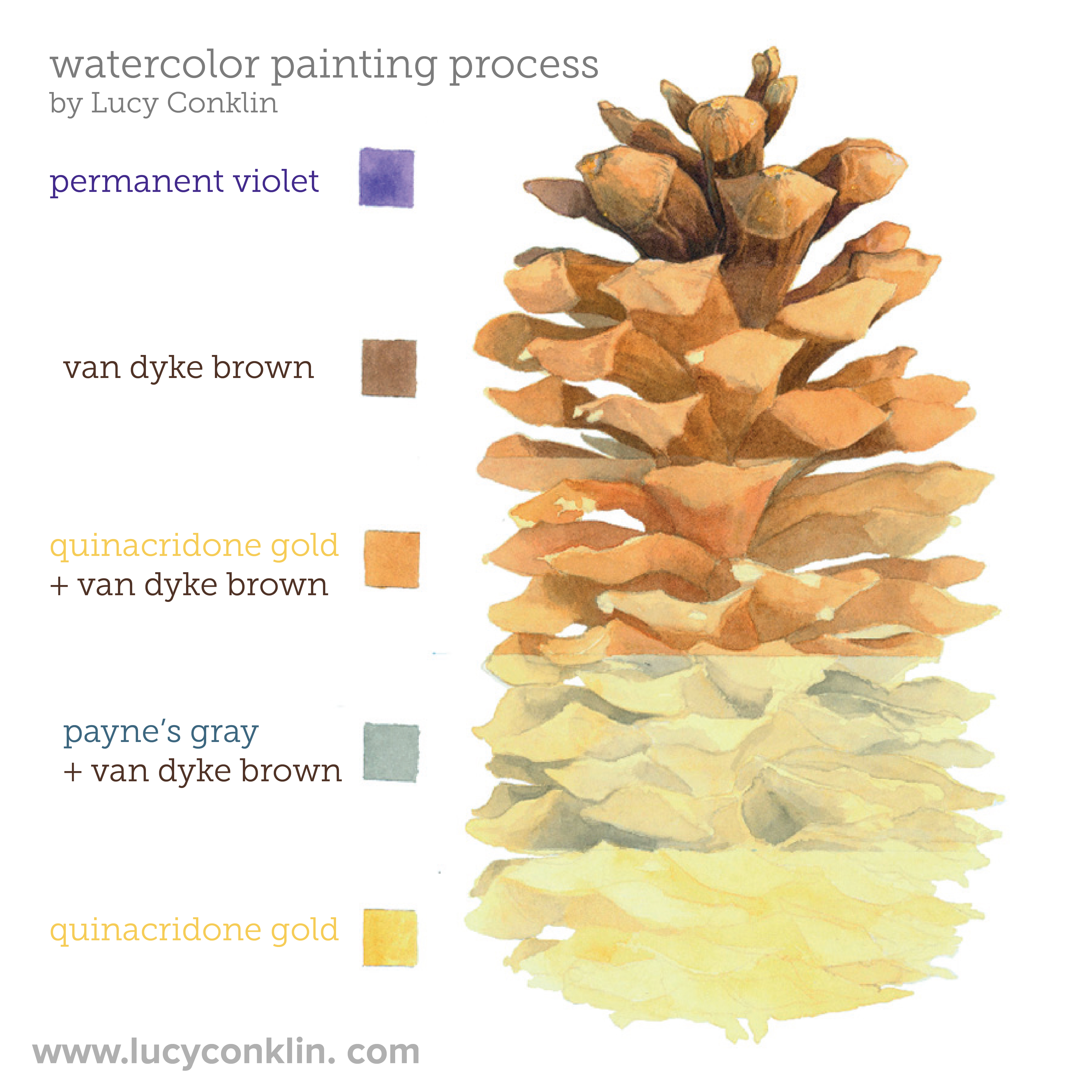 How to Draw Pinecones