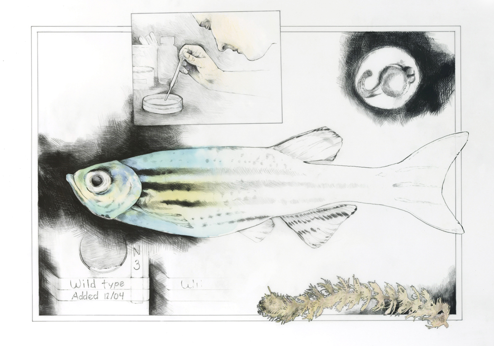 Interpreting the Lab - Image 10